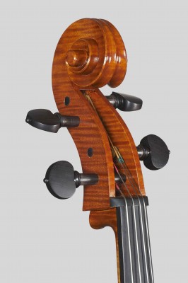 Bastiani cello 2014 testa.jpg