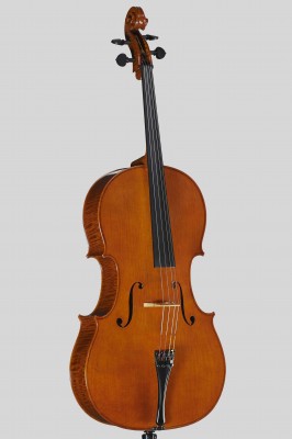 Bastiani cello 2014.jpg