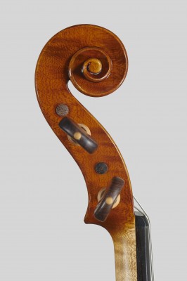 Elena Bardella 2013 testa.jpg