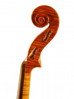 Daniela Solcà violino 2014 testa.jpg