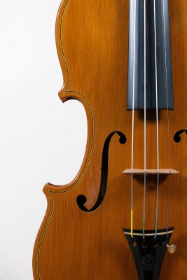 Francesco Bissolotti 2014 dettagli lw.jpg