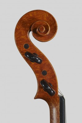 Elisa Gaboardi testa.jpg