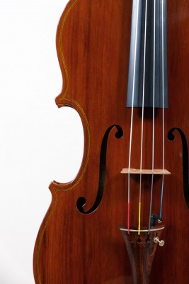 Francesco Bissolotti 2014 viol z dettagli.jpg