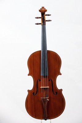 Francesco Bissolotti viola 2014 z tavola.jpg