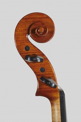 Anna tartari violino testa 2012.jpg