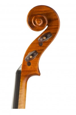 Cecilia Piazzi violino 2013 testa.jpg