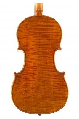 Cecilia Piazzi violino 2013 fondo.jpg