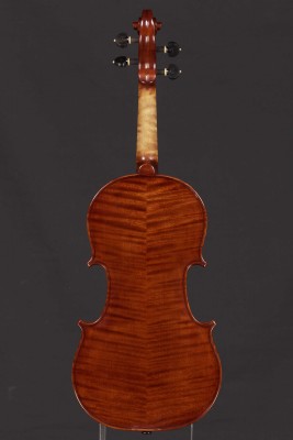 Dario Michielon violino 2014 fondo.jpg