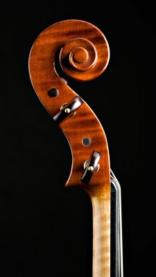 Viola Devanneaux testa 2006.jpg