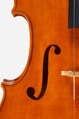 Lorrenzo Cassi cello 2016 dettagli.jpg