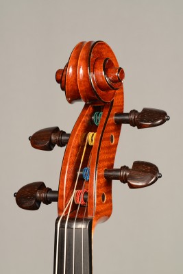 Davide Sora Viola 2015 testa.jpg