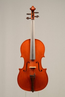 Davide Sora Viola 2015 intero tavola.jpg