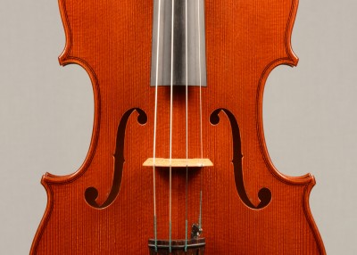 Davide Sora Viola 2015 effe.jpg