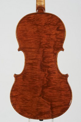 Alessandro Camilletti violino fondo.jpg