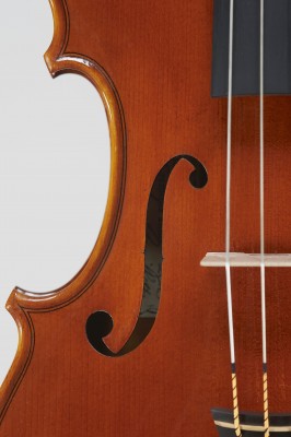 Alessandro Camilletti violino 2015 dettagli.jpg