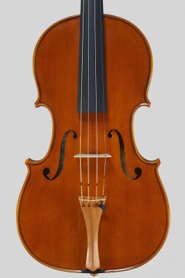 Alessandro Camilletti viola 2017.jpg