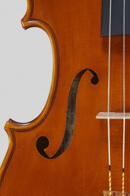 Alessandro Camilletti viola dettagli.jpg