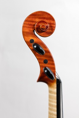 Carlo Chiesa violino testa..jpg