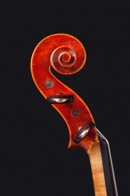 Philippe Devvaneaux 2015 testa.jpg