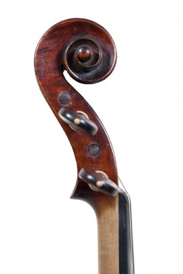 Armando Piccagliani testa.jpg