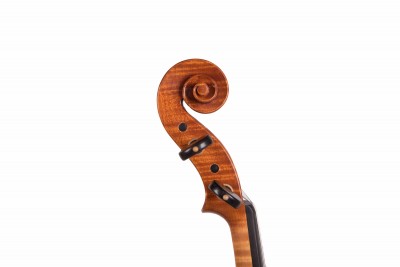 Andrea Cabrini violino testa..jpg