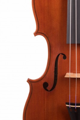 Andrea Cabrini violino dettagli..jpg