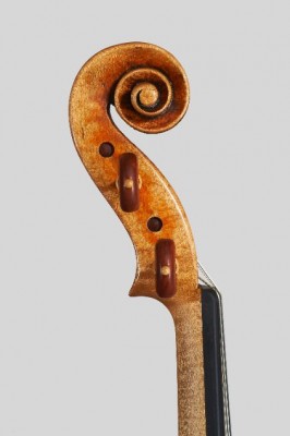 Alessandro Camilletti violino testa.jpg