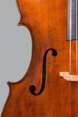 Luca Fabro cello f 1.jpeg
