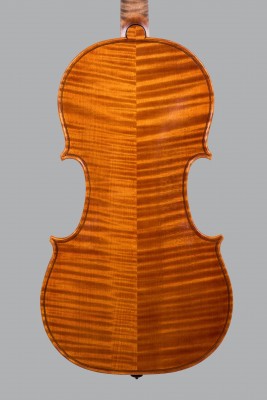 Lucas Fabro violino 1.jpeg