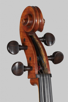 Silvio Levaggi violoncello testa 2007.png