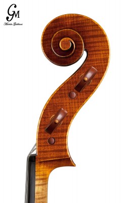 Martin Gabbani Vc testa.jpg