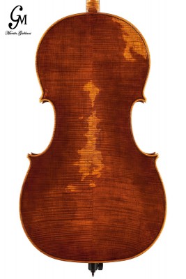 Martin Gabbani Vc fondo.jpg