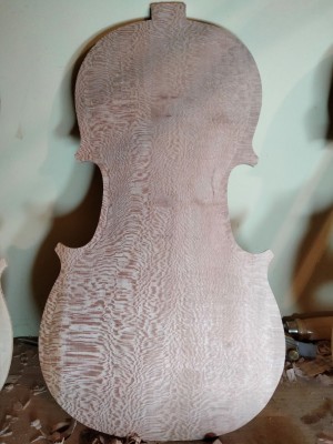 strad platano bordi.jpg