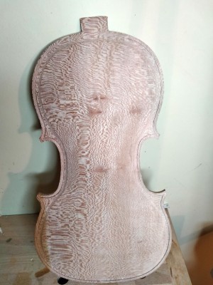 filettatura platano.jpg