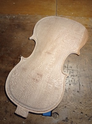 filettatura platano.jpg