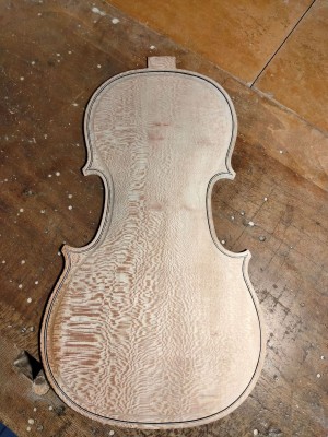 platano violino...jpg