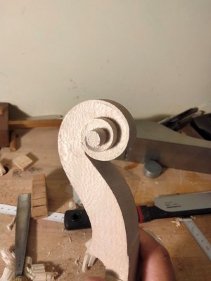 testa platano 2r.jpg