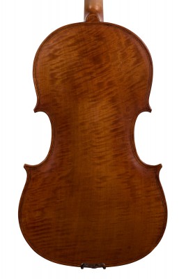 viola in pero fondo.jpg