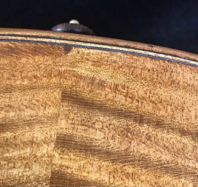 Camilletti violino 13.jpeg