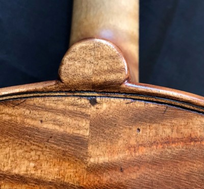 Camilletti violino 12.jpeg