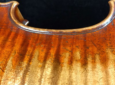 Camilletti violino 9.jpeg