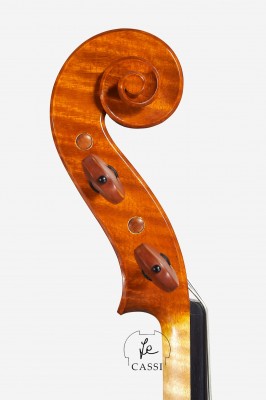 vla Cassi 2020 testa.jpg