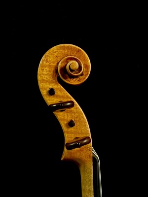 Riccardo Bergonzi violino testa.jpg