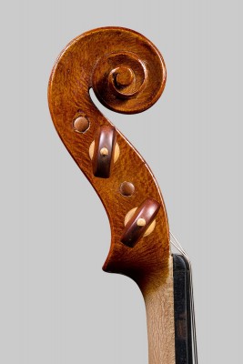 Violino in platano testa...jpg