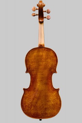 violino in platano fondo...jpg