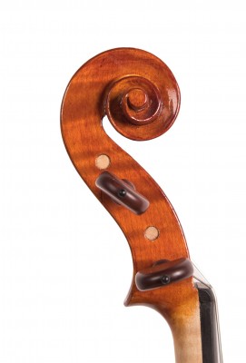 Paolo Genzini violino testa.jpg