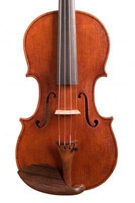Paolo Genzini violino tavola.jpg