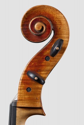 violoncello Camilletti testa..jpg