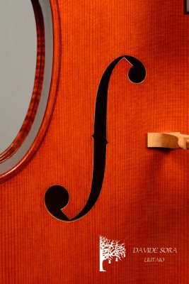 Davide Sora Cello 2025 Effe ..jpg