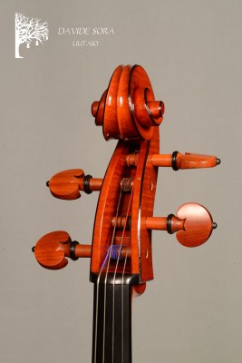 Davide Sora Cello 2025 testa trequarti ..jpg